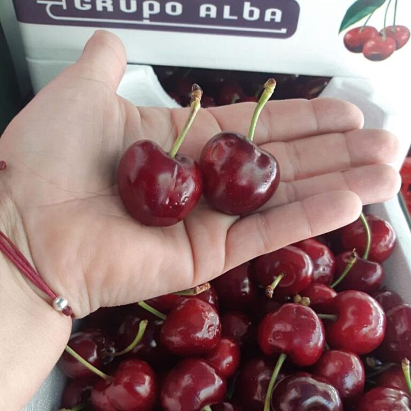 Cerezas del Valle del Jerte - Caja de 2 kgs